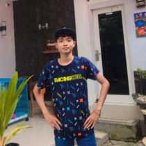 wija291
