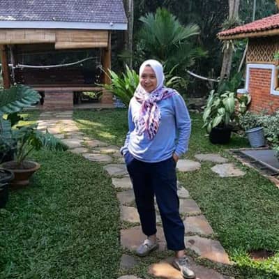 Leea permata