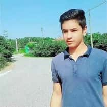 naseeb
