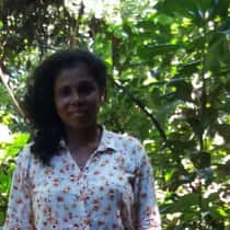 Ramani Hinnigedara