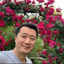 li chen