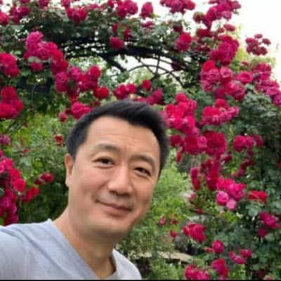 li chen