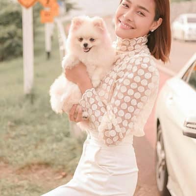 Alied