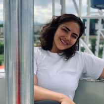stephani
