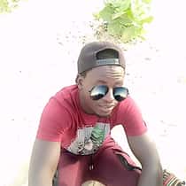 Lamin
