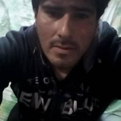 Pedro
