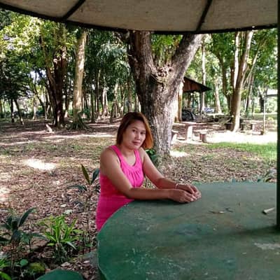 bhebsbing