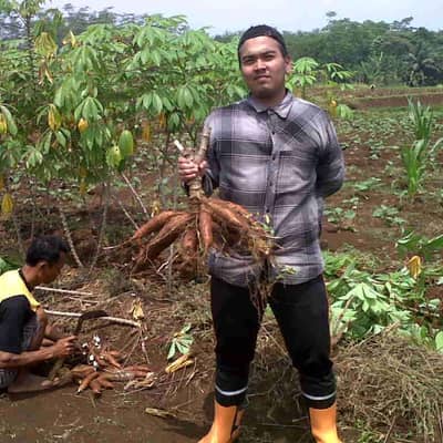 deanto wira pradhana
