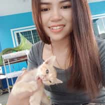 ploy