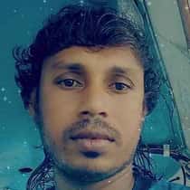 simber