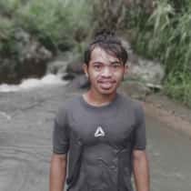 Dholis