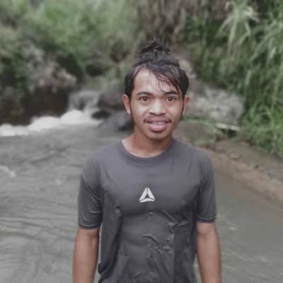 Dholis