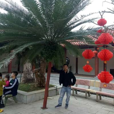 Hoàng Nhật