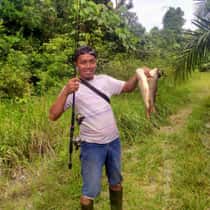ariwibowo