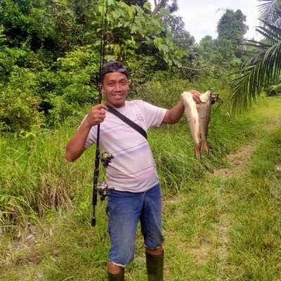 ariwibowo