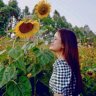 Aom