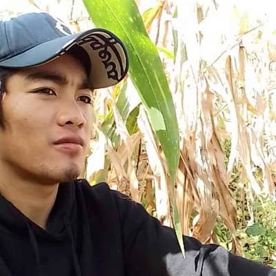 junelle
