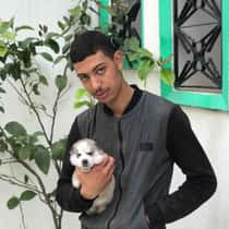 abdo