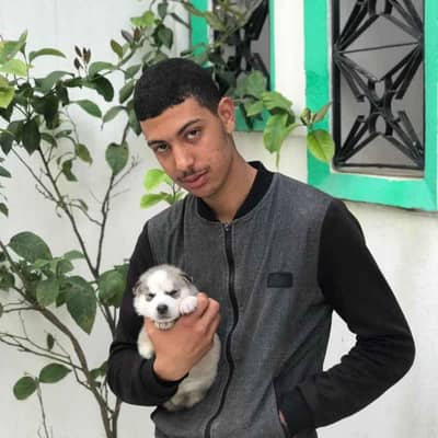 abdo