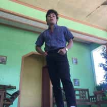 jestler