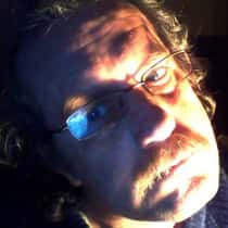 David Potter