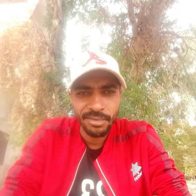 mokdad
