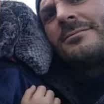 Damiano