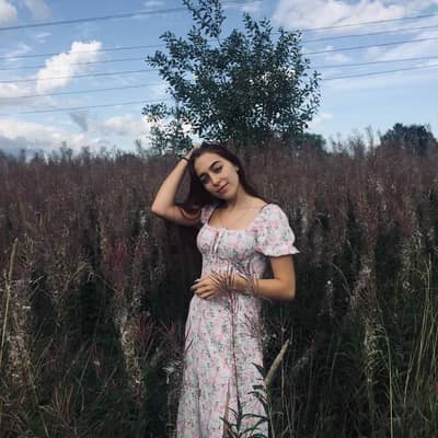 vlada