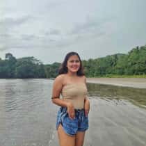 Nes Sy