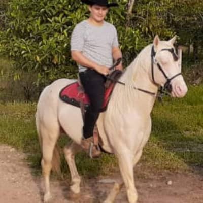 Mexicana2020