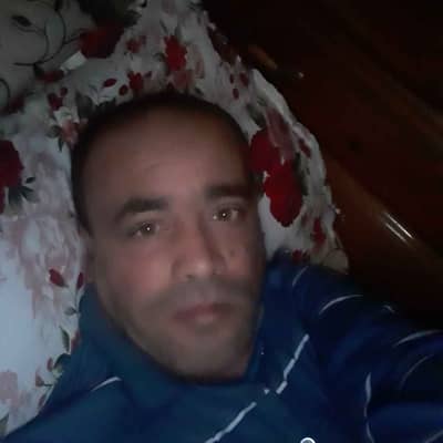 sido