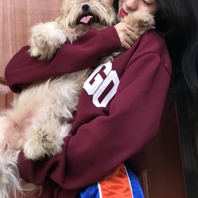 sweitkiss