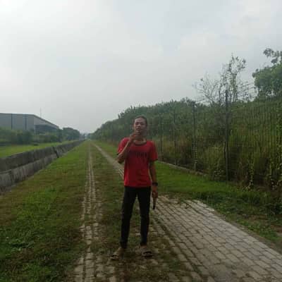 Irsan