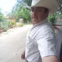 Jos flores