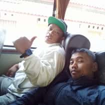 dedy triwidodo