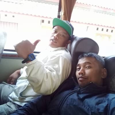 dedy triwidodo