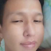 nest