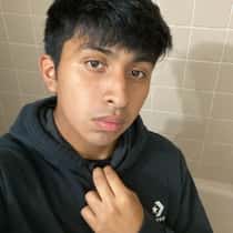 Alex
