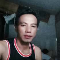 Whysetia