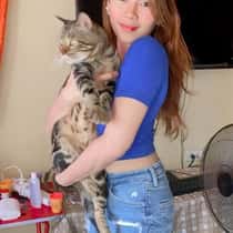 Annilove