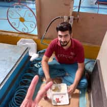 vahid