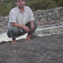 aldo