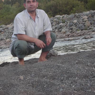 aldo
