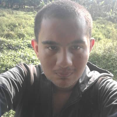 wildansp
