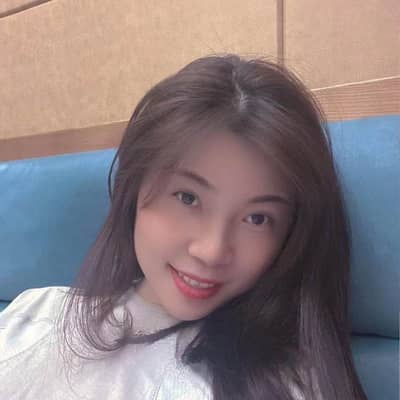 陈文静