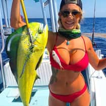 Fins love