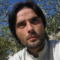 Shams
