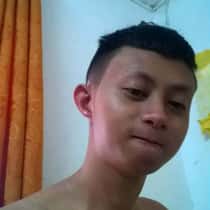 Vinchoy