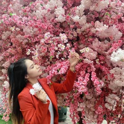 kimmy_no