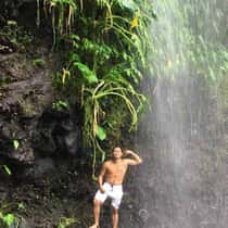 PauPau